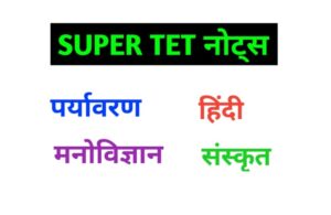 Chandra Institute Allahabad Super TET Notes